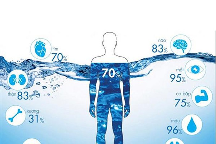 phần trăm nước  trong cơ thể - locnuoc3m.vn